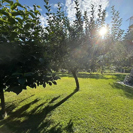 Habitalp360 Appartement Roisan